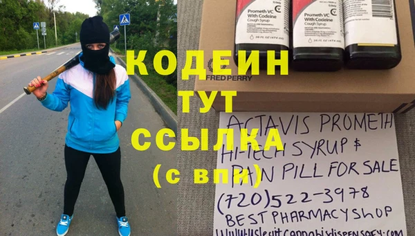 мяу мяу мука Гусь-Хрустальный