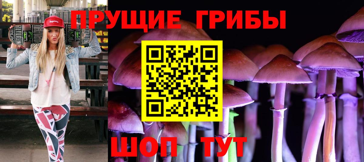 Псилоцибиновые грибы ЛСД  Галлюциногенные грибы ЛСД  Петрозаводск  Вход с VPN 