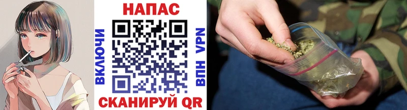 где купить наркоту  omg как войти  Шишки марихуана MAZAR  Петрозаводск 